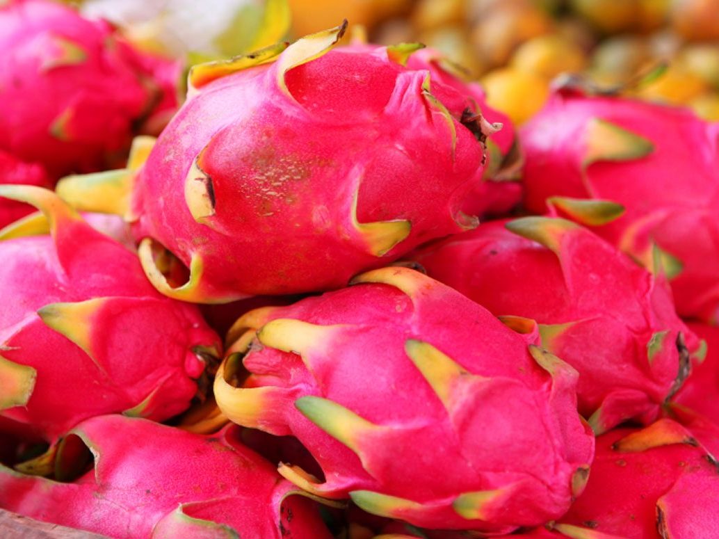 Red Dragonfruit